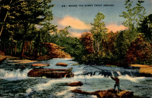 Where the gamey - where, trout